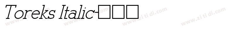 Toreks Italic字体转换